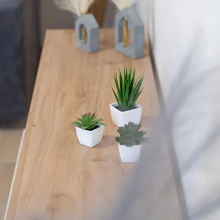 Apartment Koral *